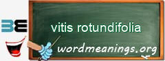 WordMeaning blackboard for vitis rotundifolia